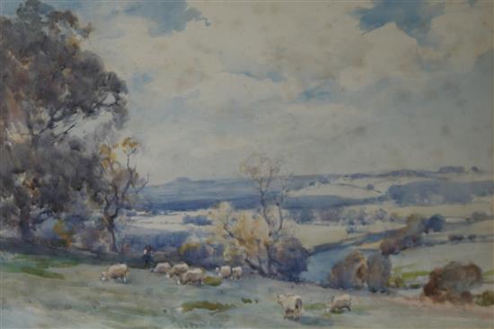 Owen Bowen, watercolour of sheep on the downs, 34 x 49cms